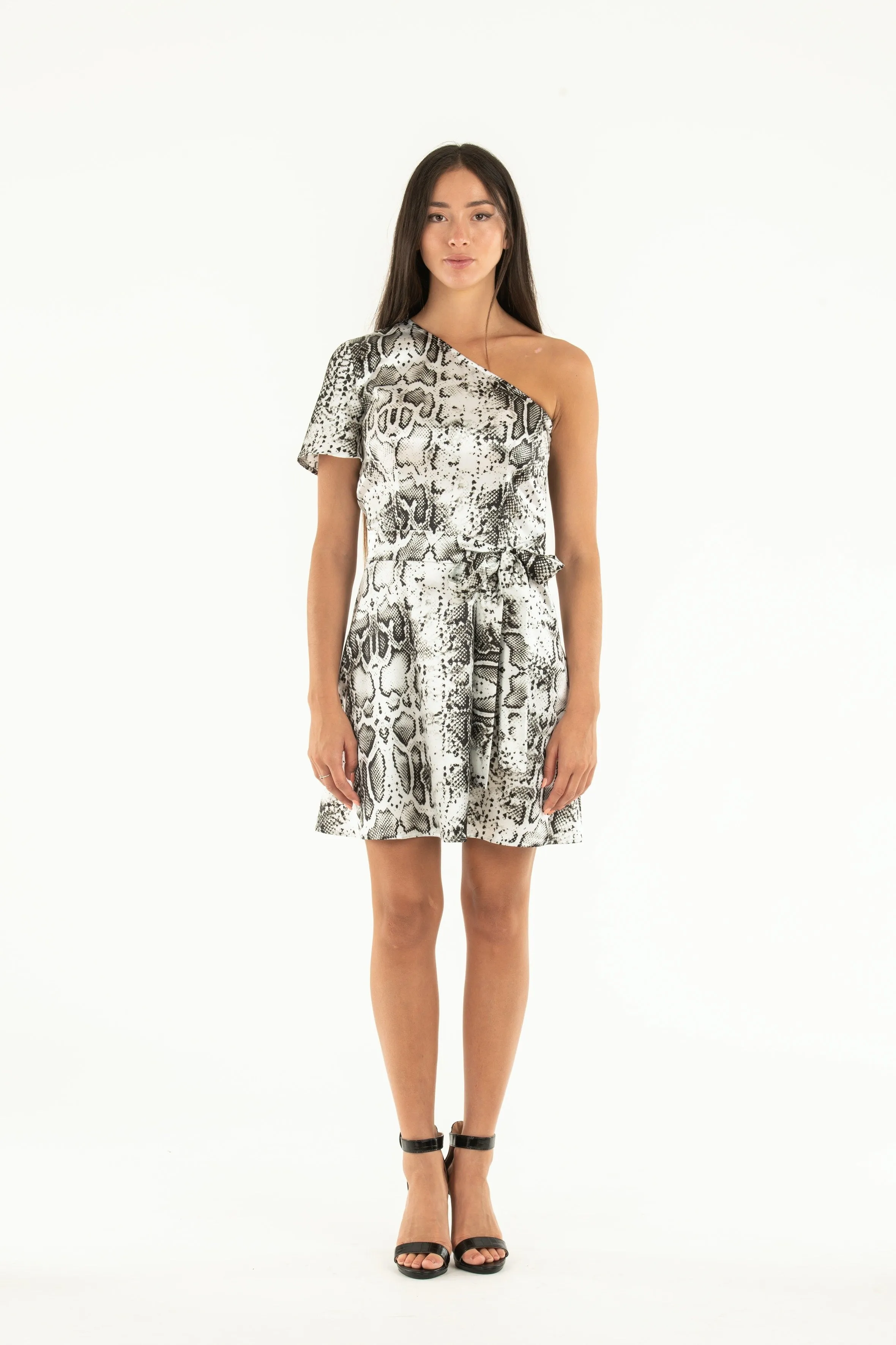ANIMAL PRINT DRESS