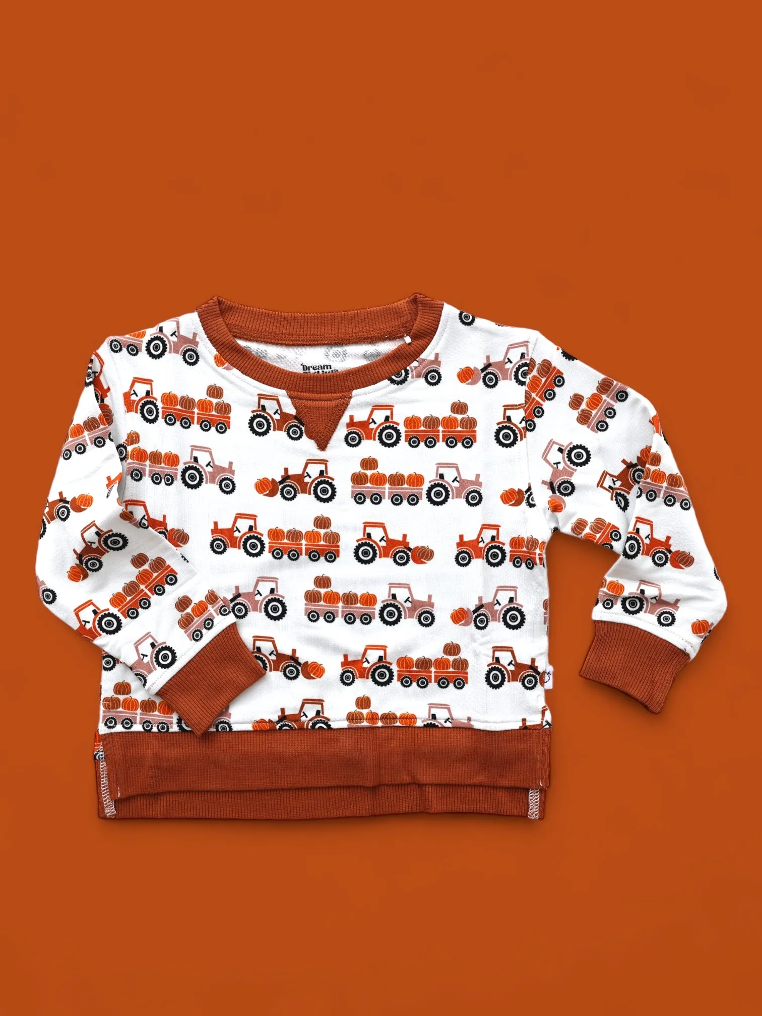HAY PUMPKIN DREAM PULLOVER